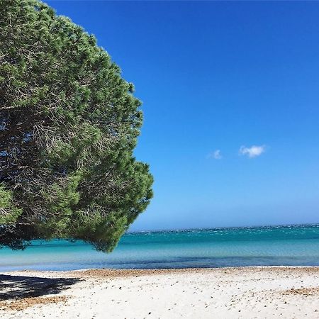 Appartement Proche Des Plus Belles Plages Порто-Веккьо Экстерьер фото