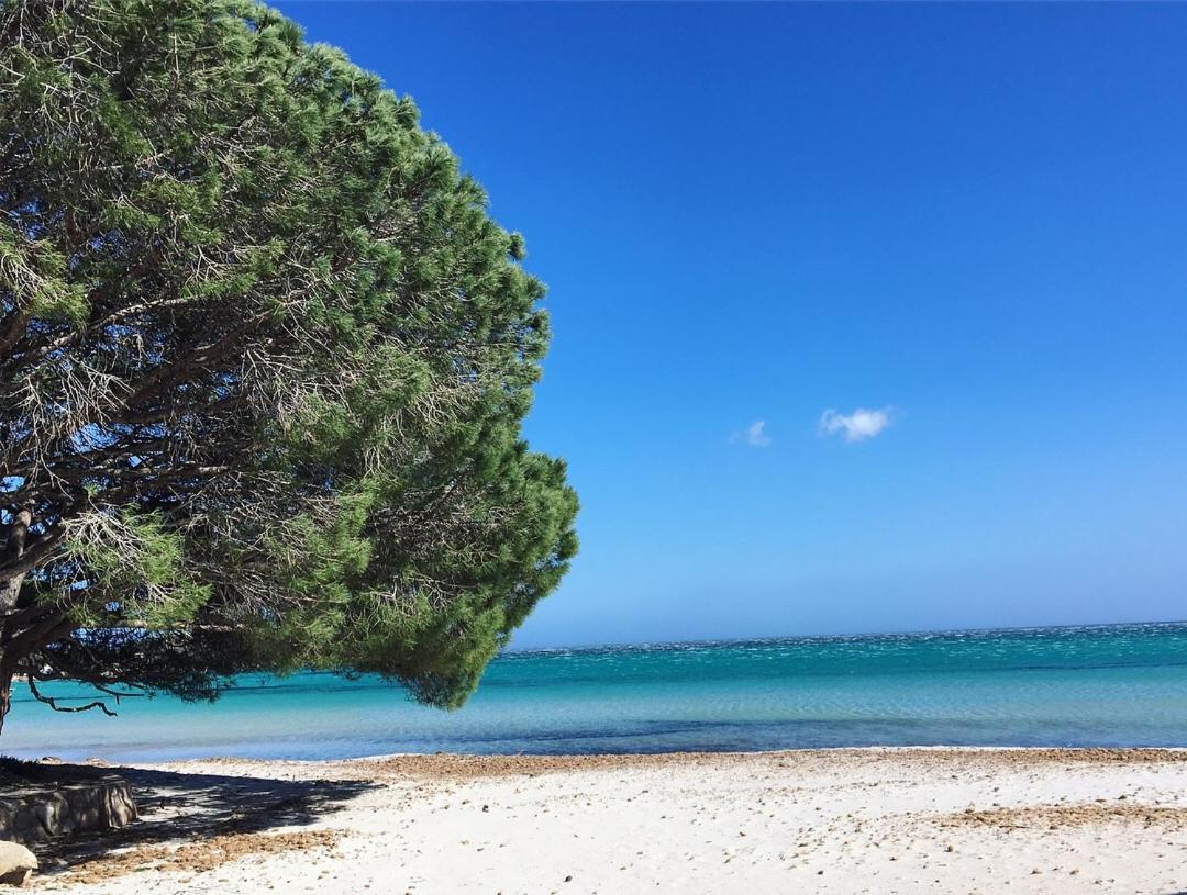 Appartement Proche Des Plus Belles Plages Порто-Веккьо Экстерьер фото